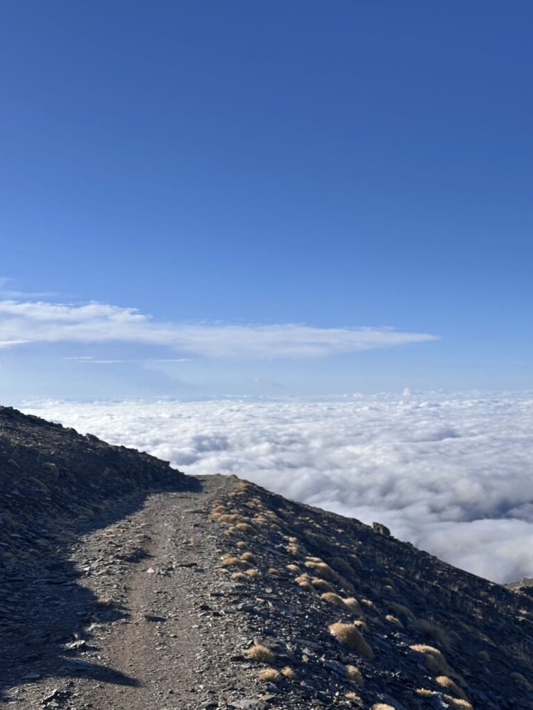 Integral Sierra Nevada, 1